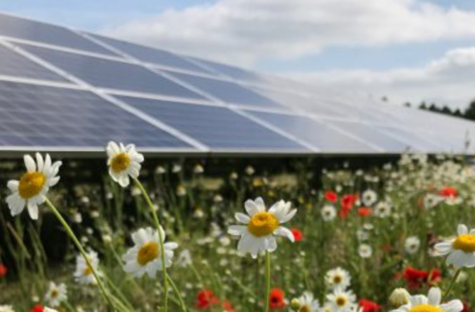 SOLAR ENERGY NEWS UK visual data 3